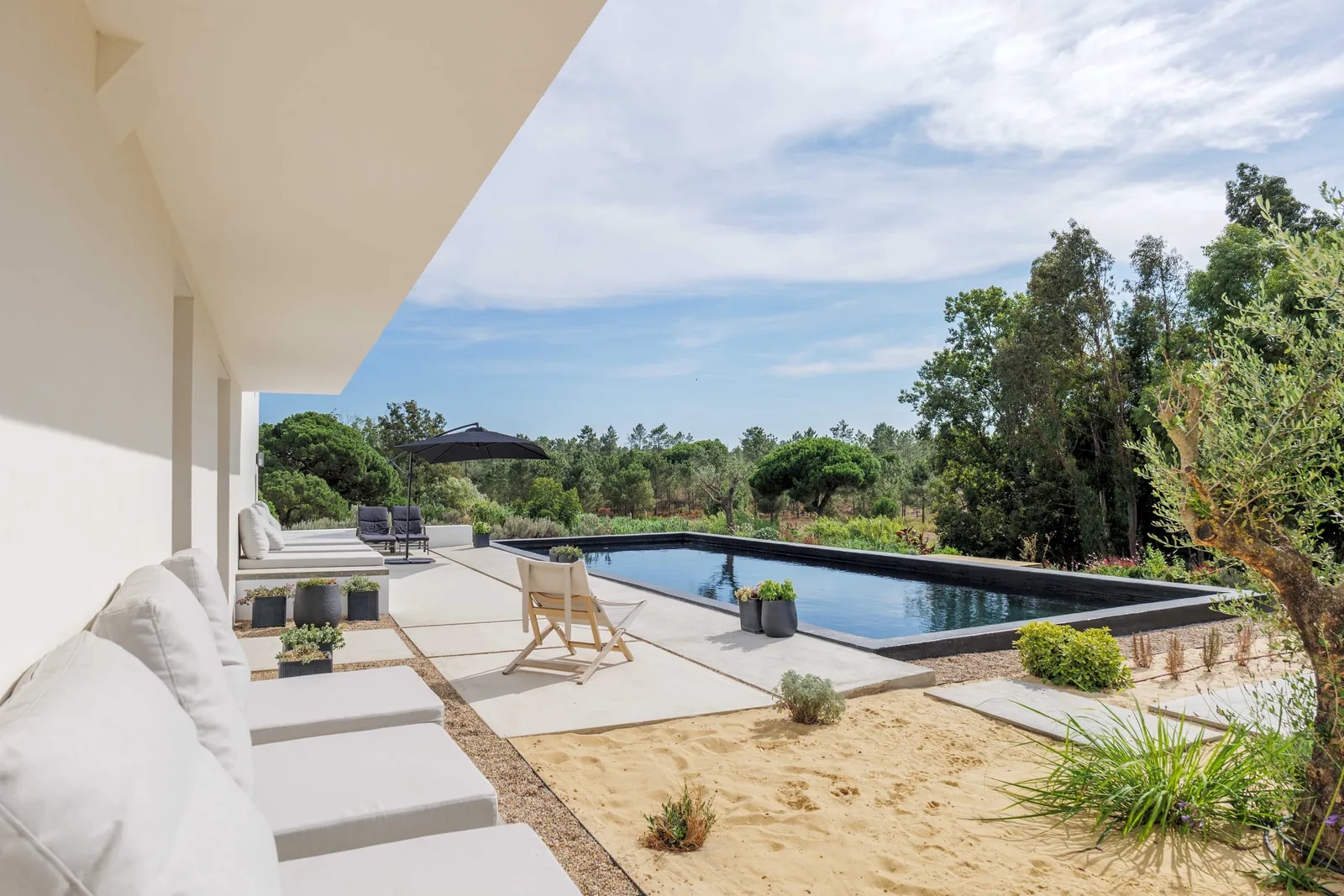 The 15 metre lap pool on the terrace at Atlas Cove, looking over the umbrella pines of the Serra da Arrábida