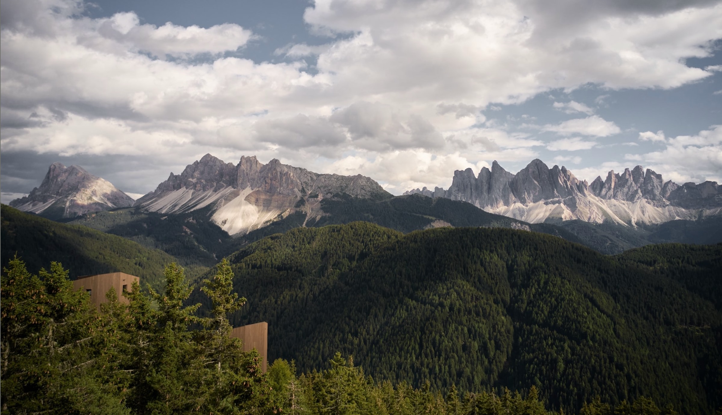 The three tower suites at FORESTIS, shaped like tree trunks, at 1,800 metres on the Plose above Brixen